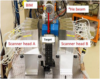 Real-Time PET Imaging for Range Verification of Helium Radiotherapy